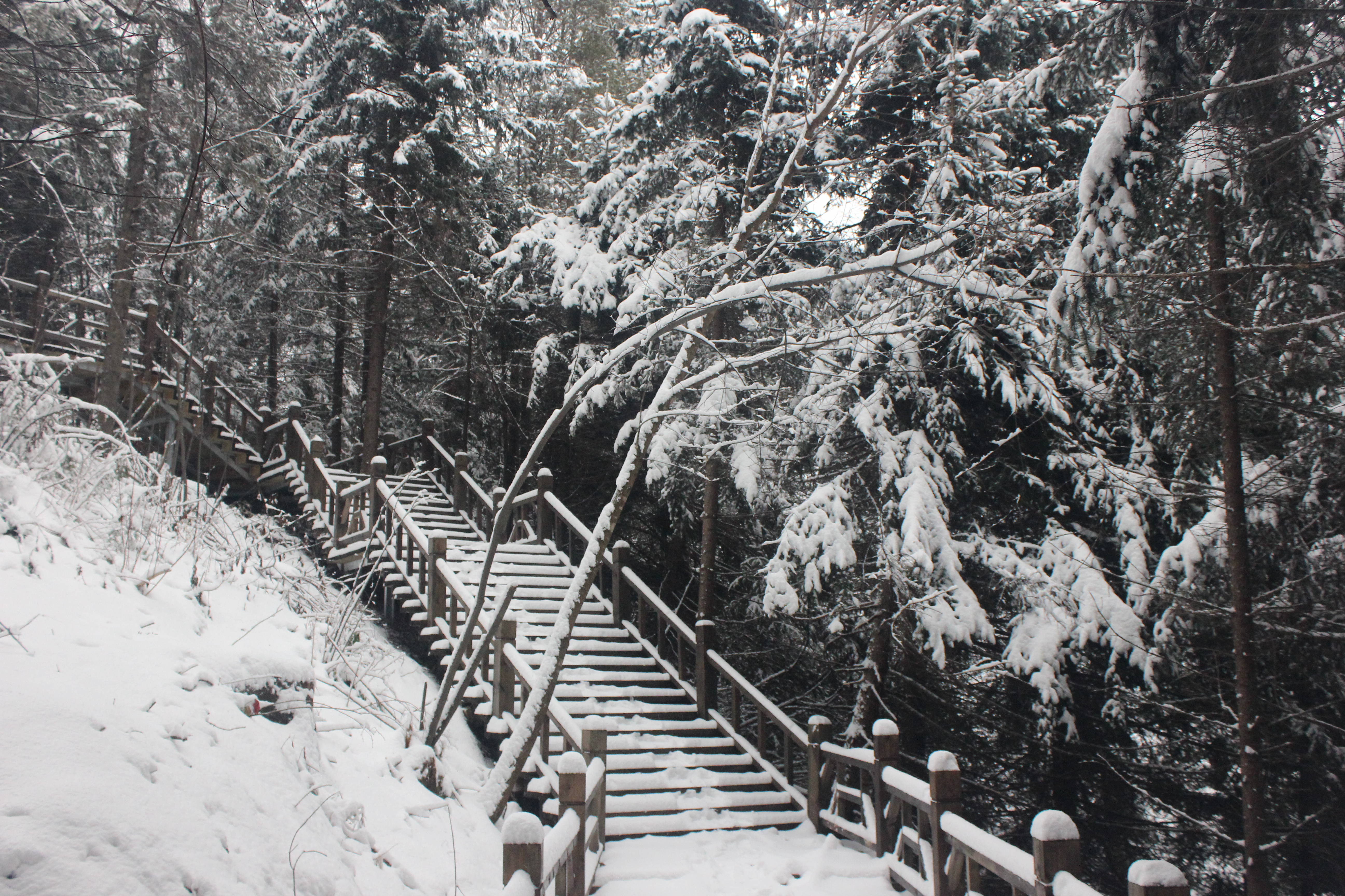 雪乡户外小帅的主播照片