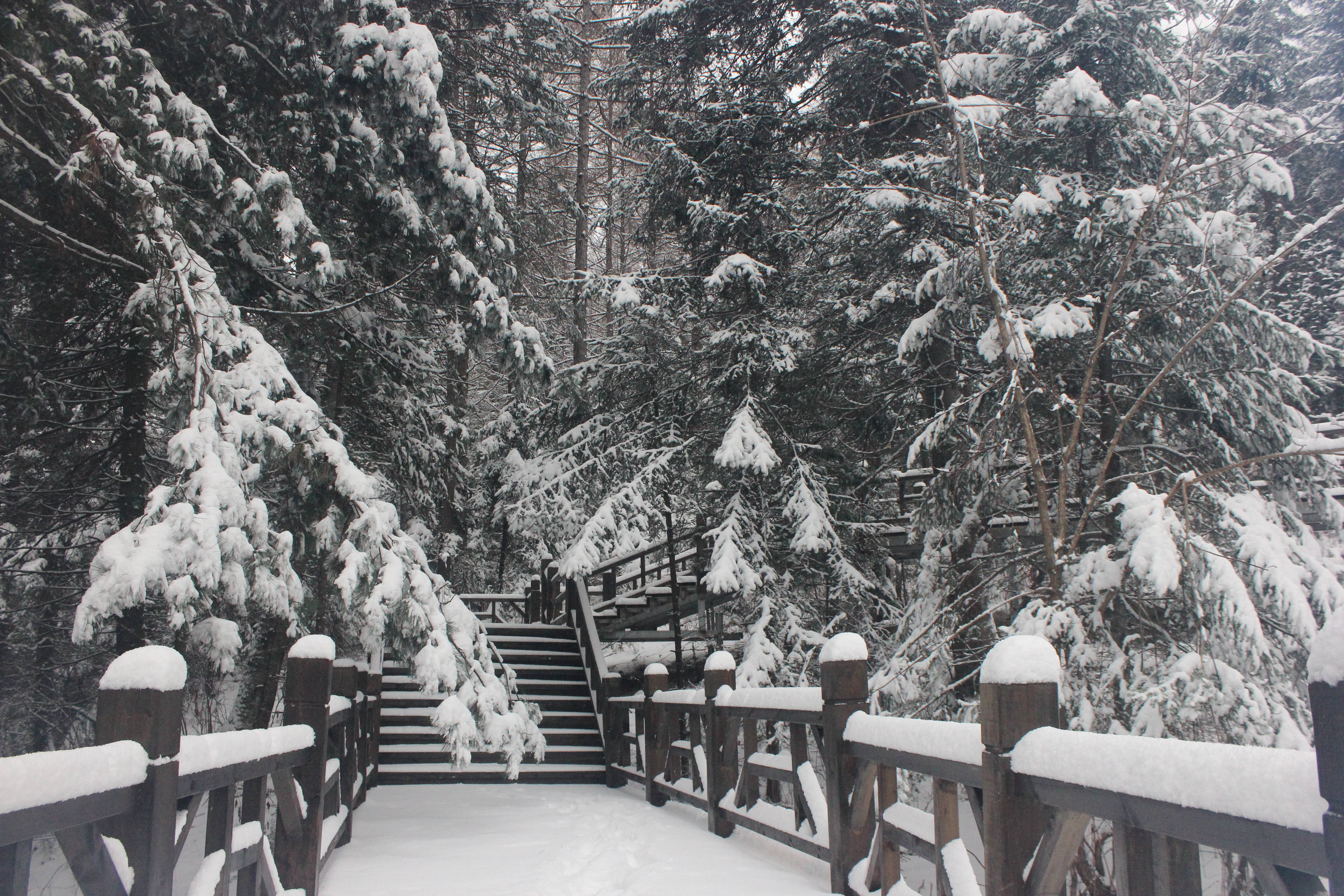 雪乡户外小帅的主播照片