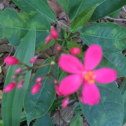 那年约季海报