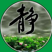 平飞g海报