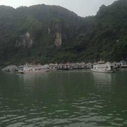 我心永恒2h的头像