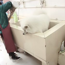 汐汐🐳求守护主播照片