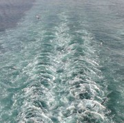 🐬老徐🐬