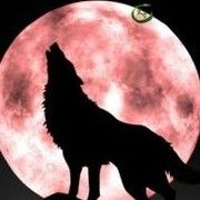 我是你眼中的泪ღ别哭海报