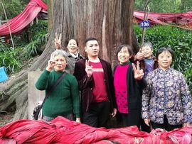 蒸汽烟客服一部小飞主播照片