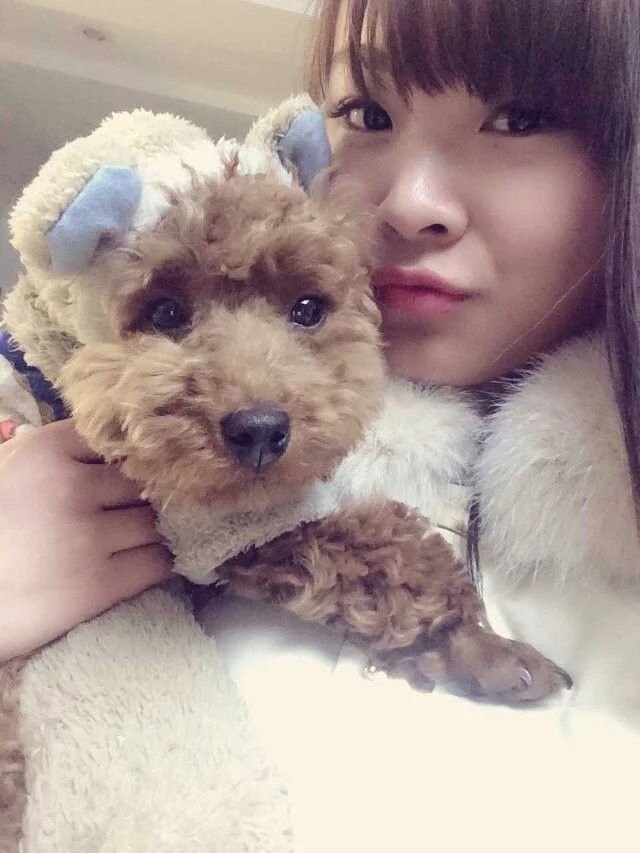 单身贵族；小萌宝的主播照片