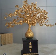 杨连华