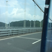 血指甲