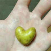 別敷衍涐海报