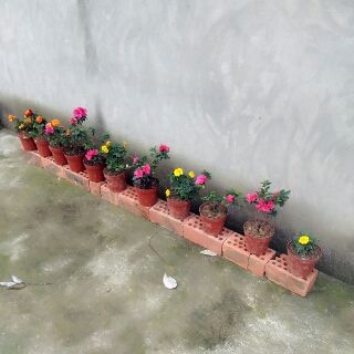 芹芹停播一个月的主播照片