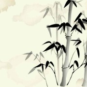 流落凡间