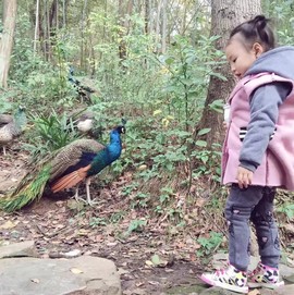 cailu81主播照片