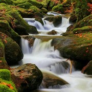 蒋飞z海报