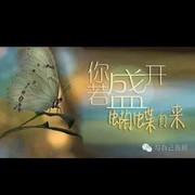 李哲1q