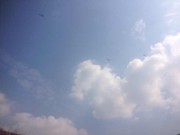 A小小老虎
