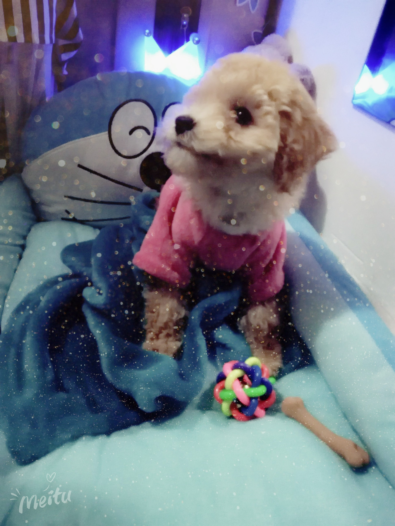 ★╭眉间雪学习2天的主播照片