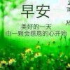味道!ri的头像