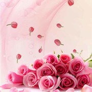 春暖花开72