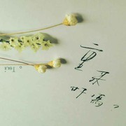 木屋f海报