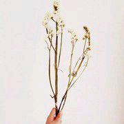 动感光波！主播照片