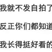 独孤求败vz