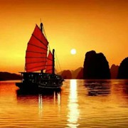 思乡浪子i海报