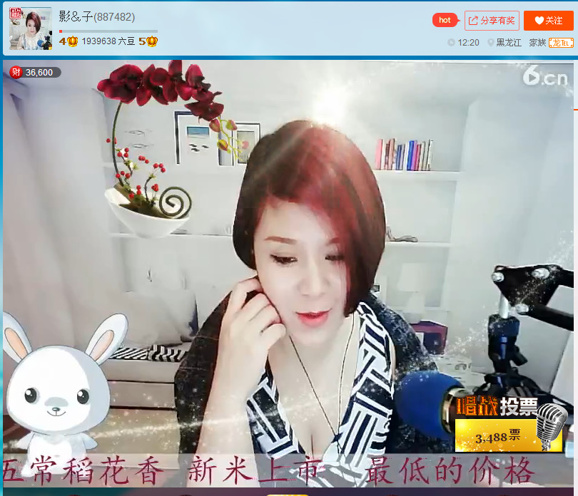 亲切家族的图片