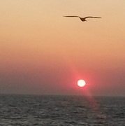秋风z4n海报