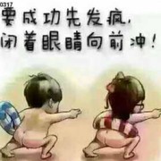 海岛小子的头像