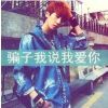 流浪飞鹰j