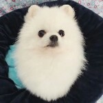 江西婷婷海报