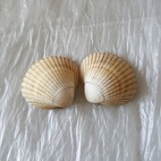 夏jhl海报