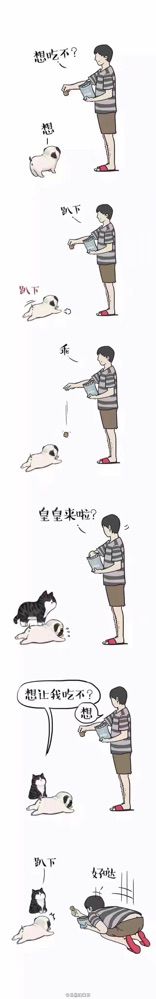 一颗大仙豆、的主播照片