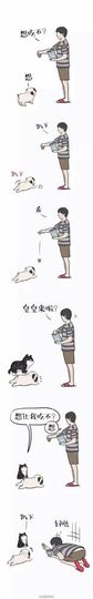 一颗大仙豆、主播照片