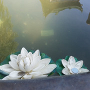 气死不尝命h