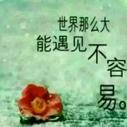 不认识我y