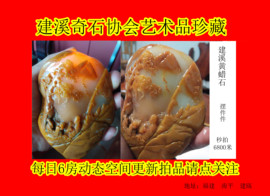 黄蜡石-黄龙玉-逍遥主播照片