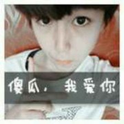 *鑫s