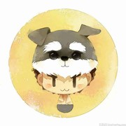 指韵财务