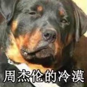 走样－