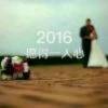 或许是我的错v