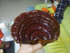★明哥★★主播照片