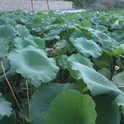 无虚幻海报