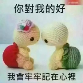 h曾经的王者p主播照片