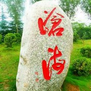 沧海人生y