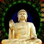 飞龙在天。!的头像
