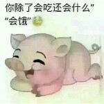 生活不蓉易