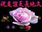 雄★鷹★部★隊的主播照片