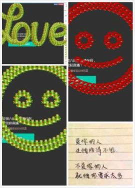 海鸽晚上晚会播主播照片