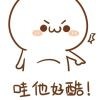 姑娘别被少年迷了伈